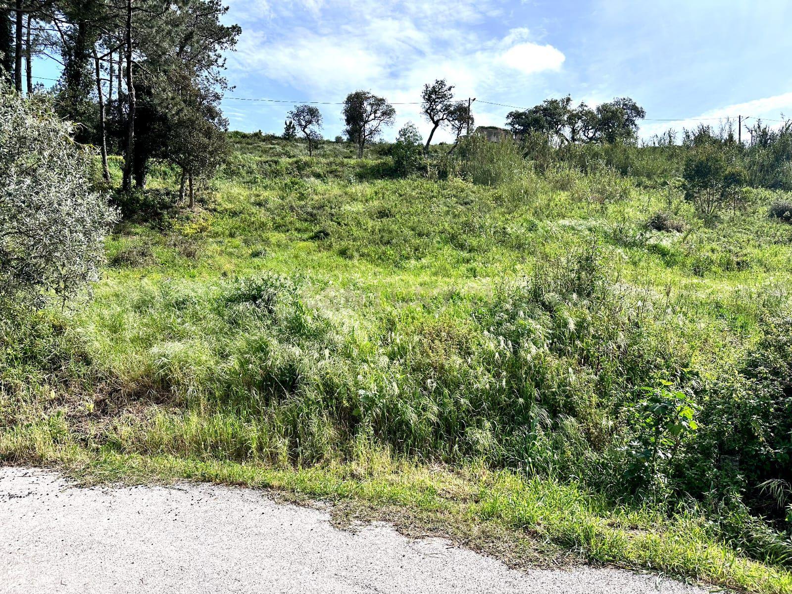 Terreno Urbano com Vista Magnífica para Venda – Próximo da Ericeira e Mafra! - Image 6
